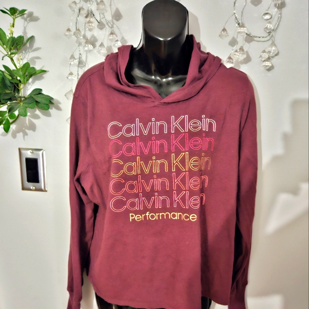 Hooded long sleeve blouse